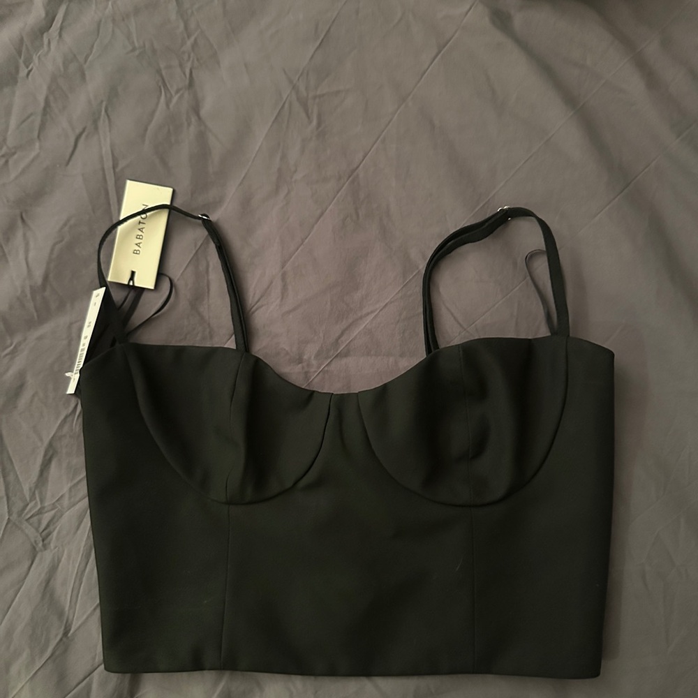 NWT Aritzia Babaton Corset